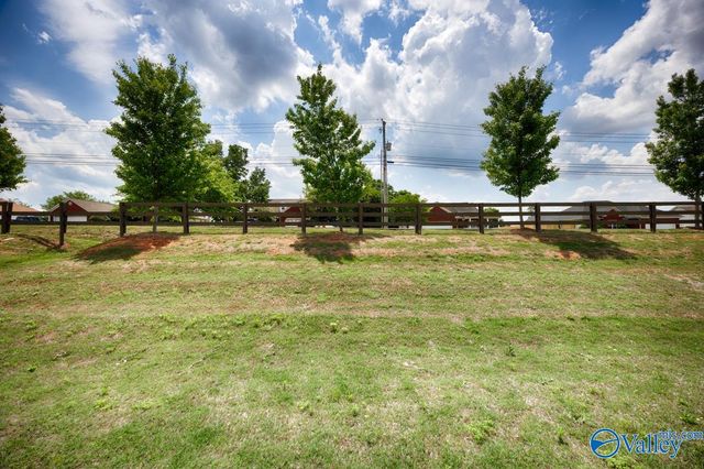 100 River Springs Court, New Market, AL 35761