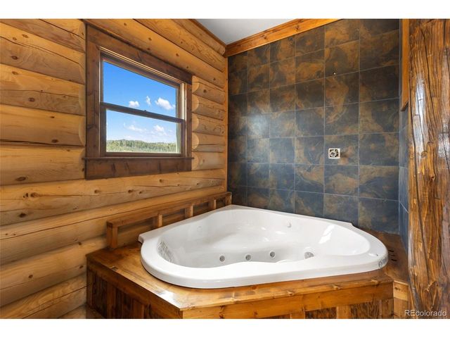 392 Brooks Ln, Woodland Park, CO 80863