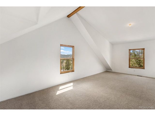 392 Brooks Ln, Woodland Park, CO 80863