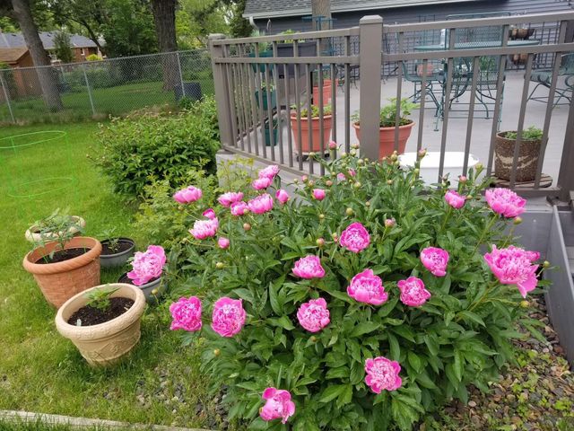 1914 Holton Street, Roseville, MN 55113