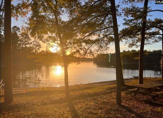 132 Pembroke Lane, Chapin, SC 29036