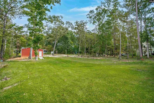 132 Pembroke Lane, Chapin, SC 29036