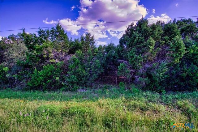 12115 Fm 32, Fischer, TX 78623