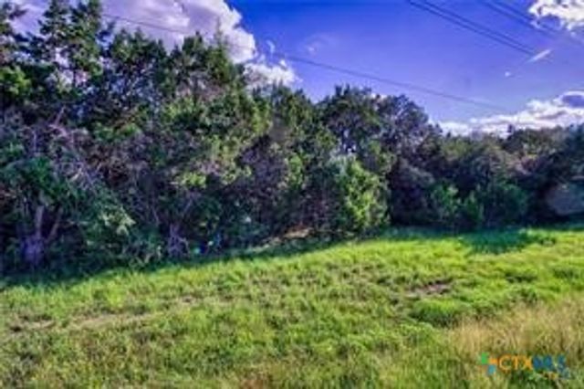 12115 Fm 32, Fischer, TX 78623