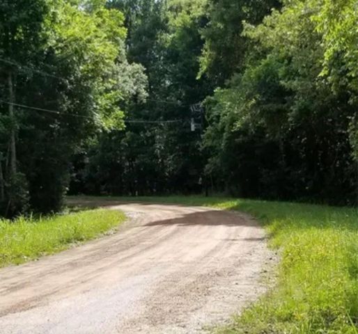 TBA Winding Creek, Shepherd, TX 77371