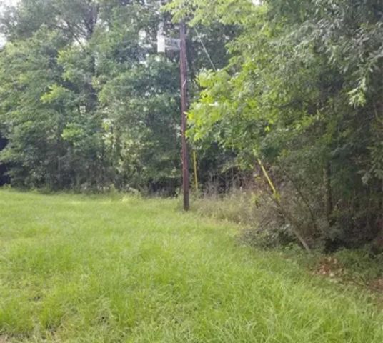 TBA Winding Creek, Shepherd, TX 77371