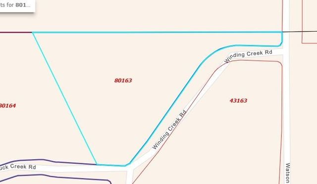 TBA Winding Creek, Shepherd, TX 77371