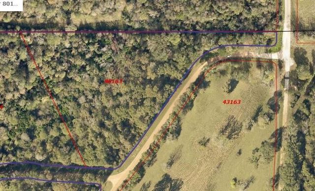 TBA Winding Creek, Shepherd, TX 77371