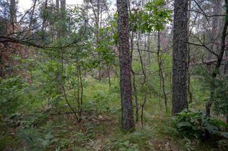 N8275 Woodland Trail, New Lisbon, WI 53950