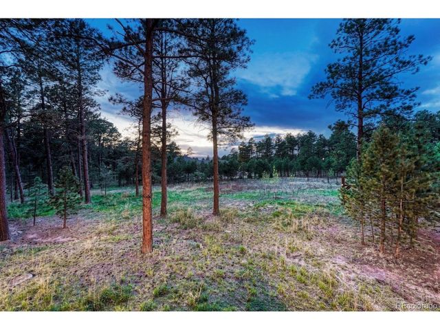 16152 Timber Meadow Dr, Colorado Springs, CO 80908