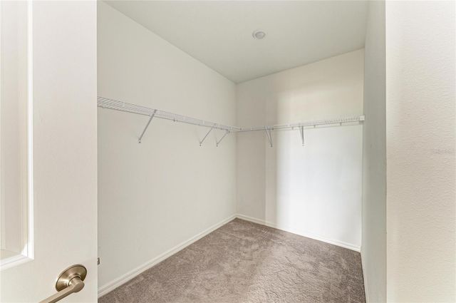 13209 SUNSET SAPPHIRE CIRCLE, Parrish, FL 34219