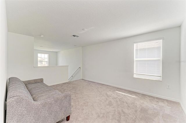 13209 SUNSET SAPPHIRE CIRCLE, Parrish, FL 34219