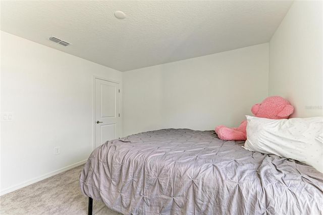 13209 SUNSET SAPPHIRE CIRCLE, Parrish, FL 34219