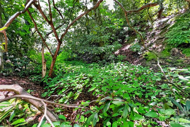 TBD Durham Avenue, Black Mountain, NC 28711
