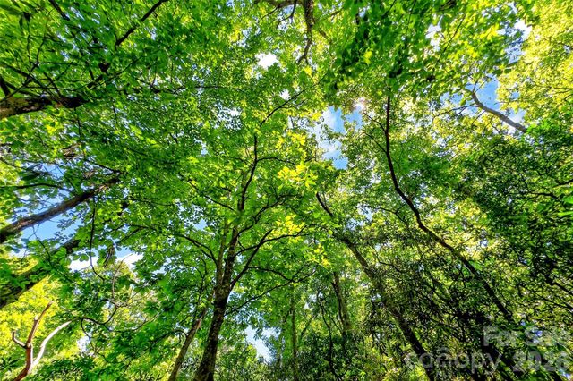 TBD Durham Avenue, Black Mountain, NC 28711