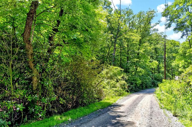 TBD Durham Avenue, Black Mountain, NC 28711