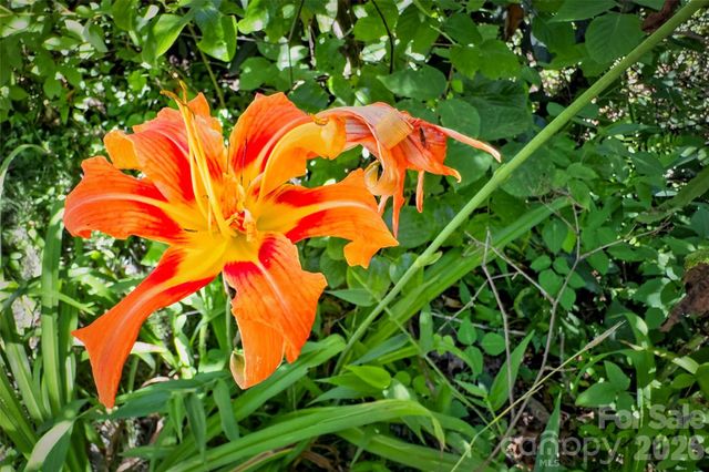 TBD Durham Avenue, Black Mountain, NC 28711