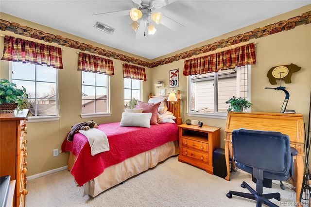 19447 E Bellisario Creek Drive, Parker, CO 80134