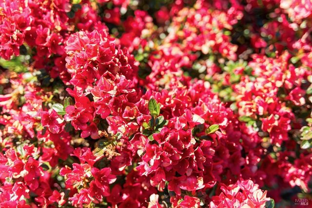 665 4th St E, Sonoma, CA 95476