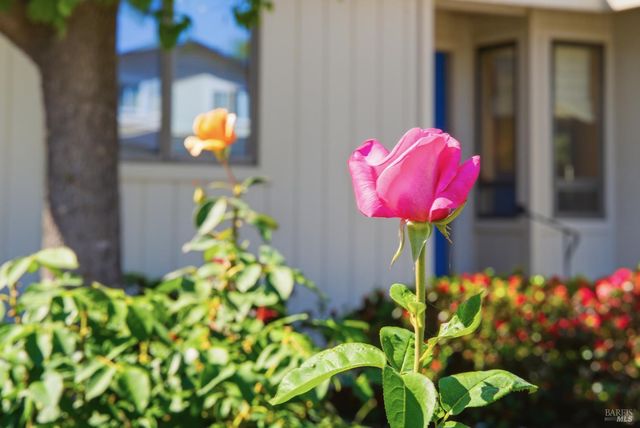 665 4th St E, Sonoma, CA 95476