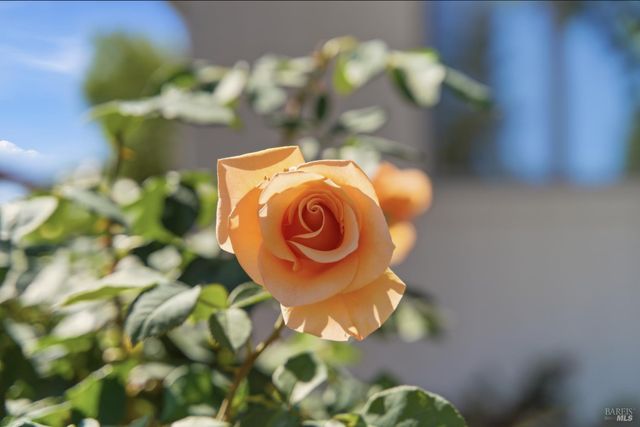 665 4th St E, Sonoma, CA 95476