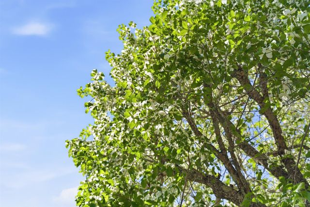 665 4th St E, Sonoma, CA 95476