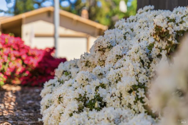 665 4th St E, Sonoma, CA 95476