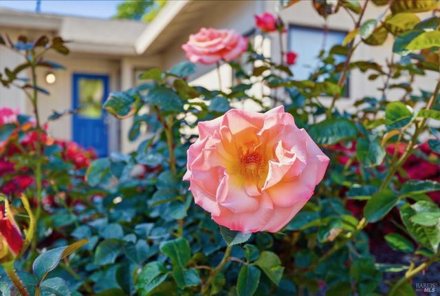 665 4th St E, Sonoma, CA 95476