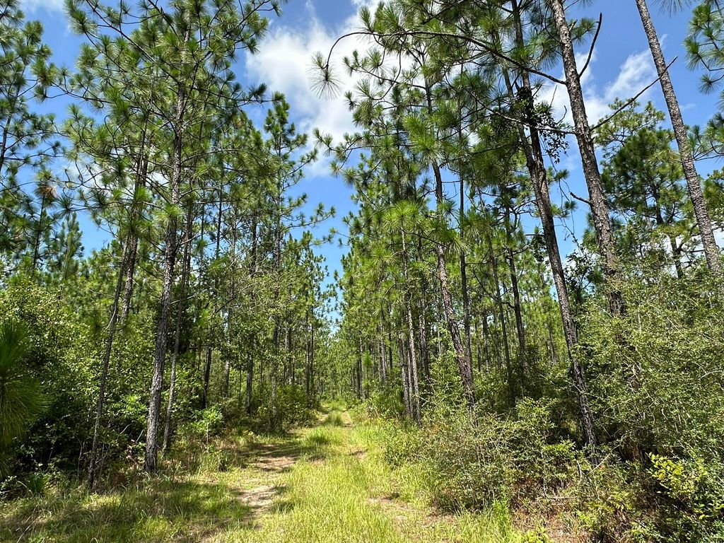Image 12 of property listing at 6389 County Line Road B, Baker, FL 32531