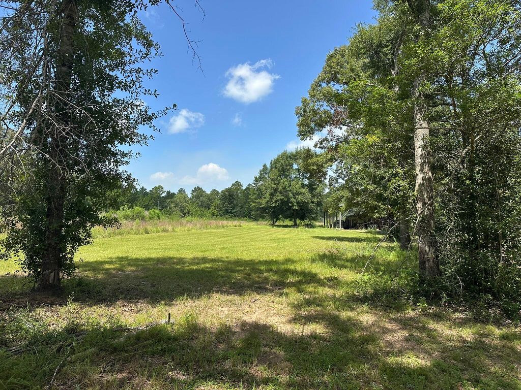 Image 13 of property listing at 6389 County Line Road B, Baker, FL 32531