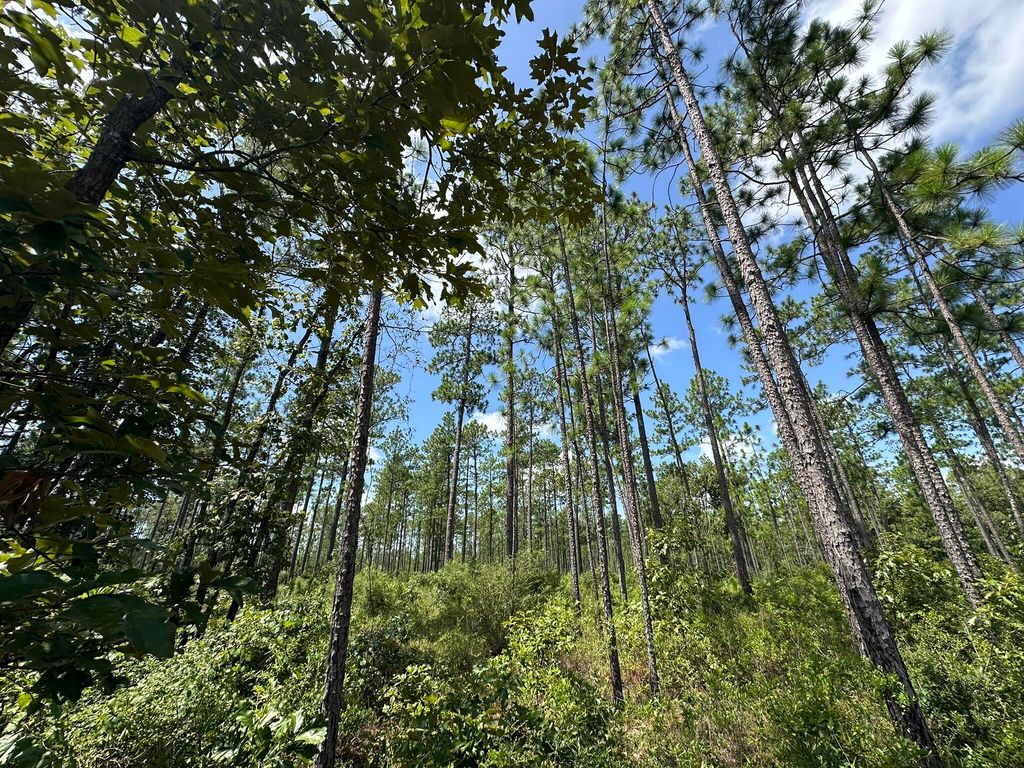 Image 3 of property listing at 6389 County Line Road B, Baker, FL 32531
