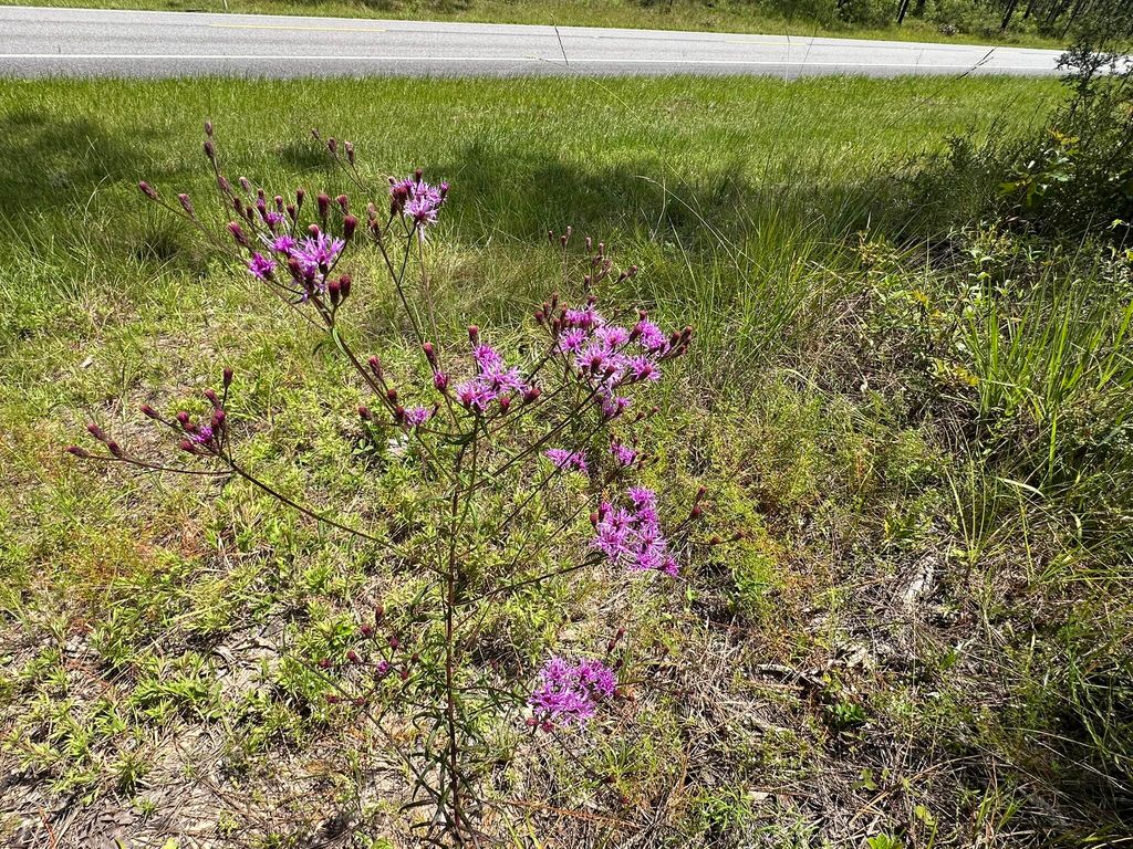 Image 7 of property listing at 6389 County Line Road B, Baker, FL 32531