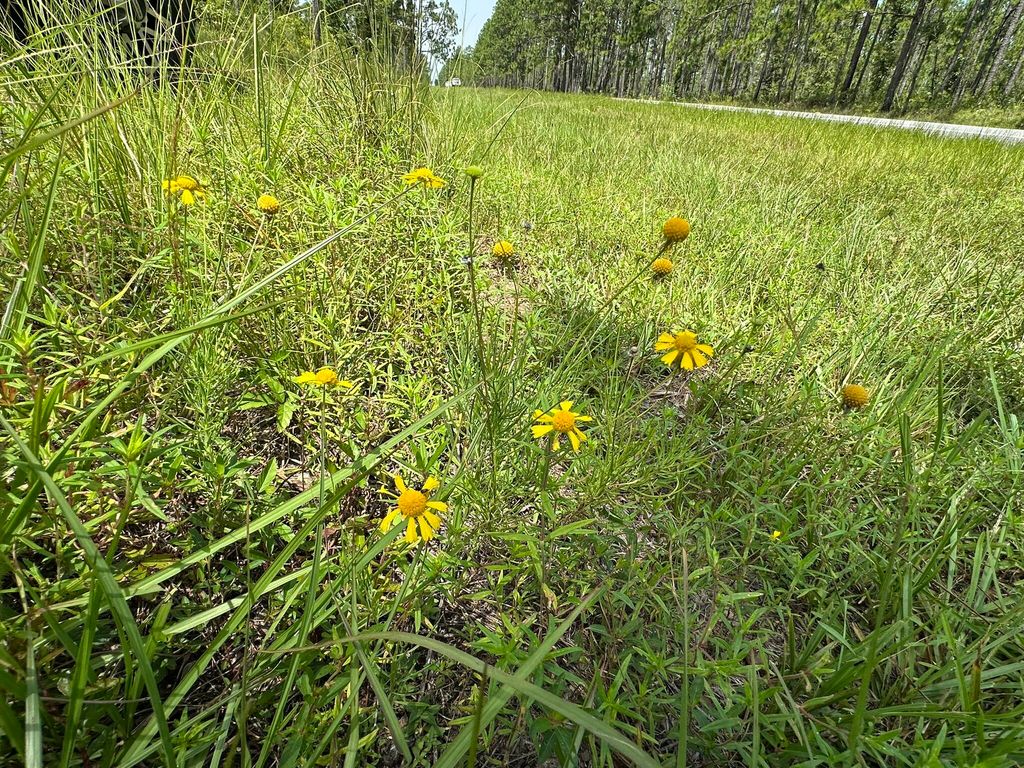 Image 8 of property listing at 6389 County Line Road B, Baker, FL 32531
