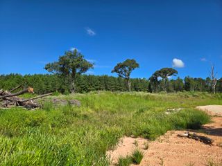 00 Sapphire, Purvis, MS 39475