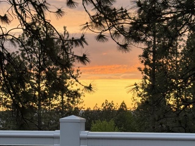 9921 N Wieber Dr, Spokane, WA 99208