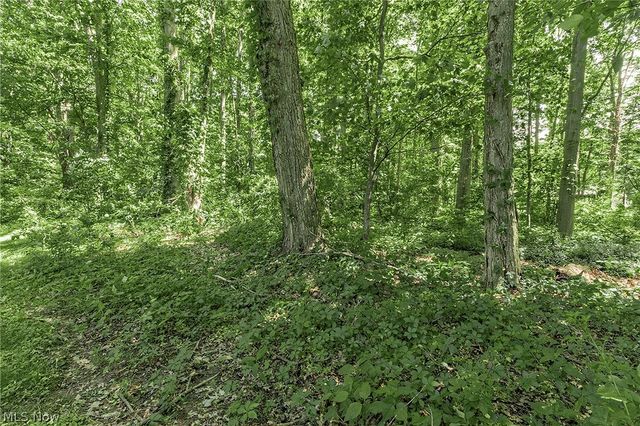 9090 Aileen Drive, Mentor, OH 44060
