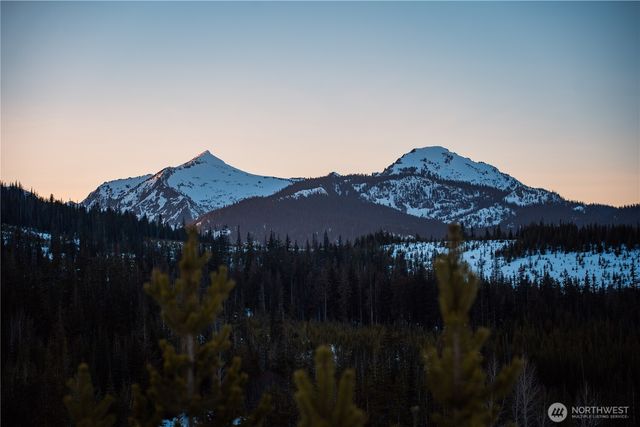 28995 Coulter Creek Road, Lake Wenatchee, WA 98826