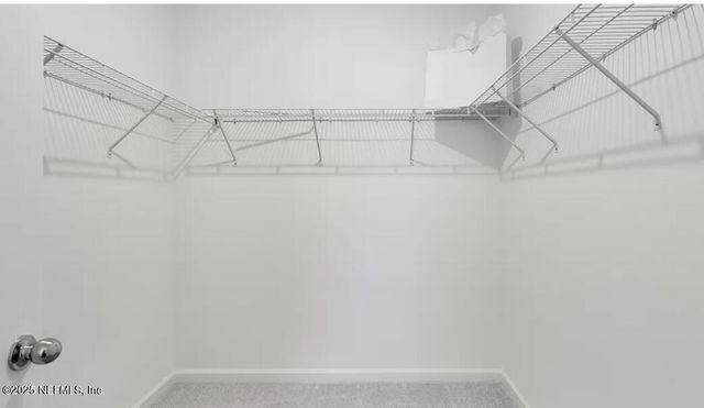 3157 TUPELO Loop, Green Cove Springs, FL 32043