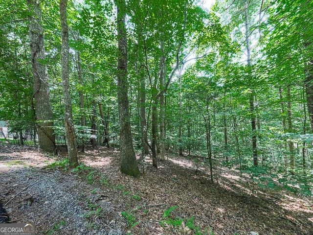 314 Spring Creek 17A,17B, Blairsville, GA 30512