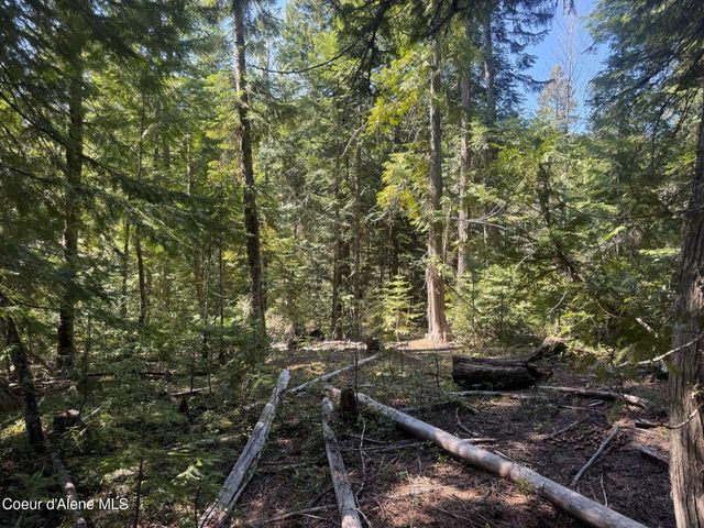 NNA Upper Manley CReek Rd East Lot, Laclede, ID 83841
