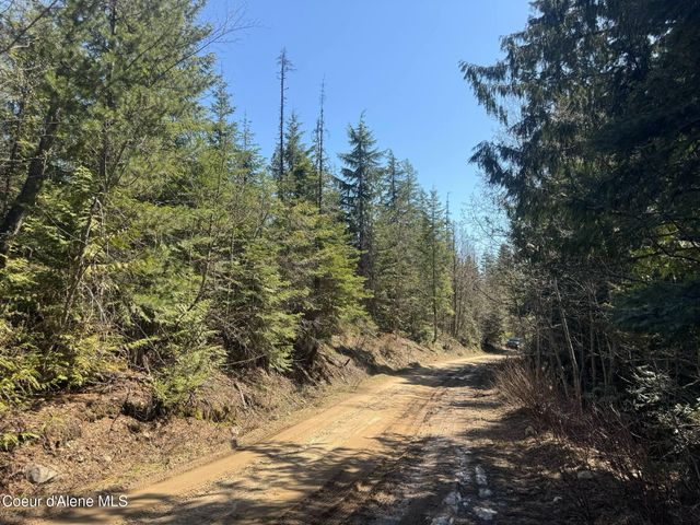 NNA Upper Manley CReek Rd East Lot, Laclede, ID 83841