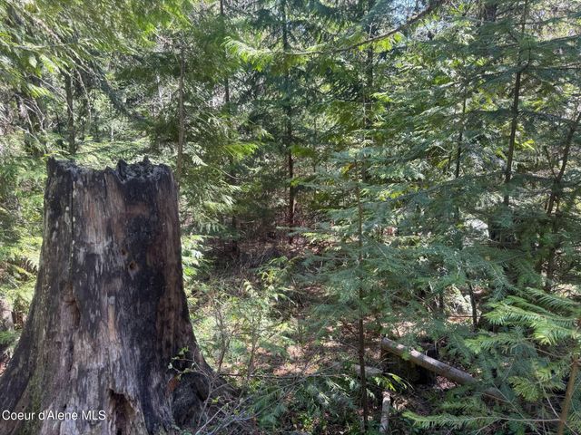 NNA Upper Manley CReek Rd East Lot, Laclede, ID 83841