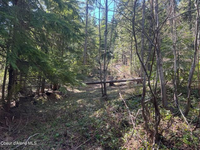 NNA Upper Manley CReek Rd East Lot, Laclede, ID 83841