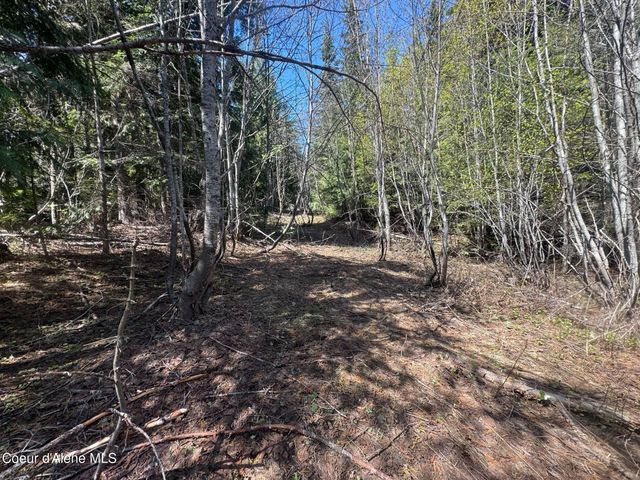 NNA Upper Manley CReek Rd East Lot, Laclede, ID 83841