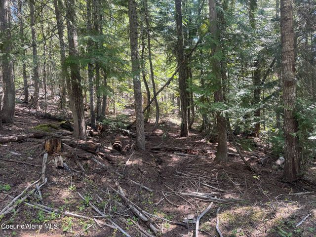 NNA Upper Manley CReek Rd East Lot, Laclede, ID 83841
