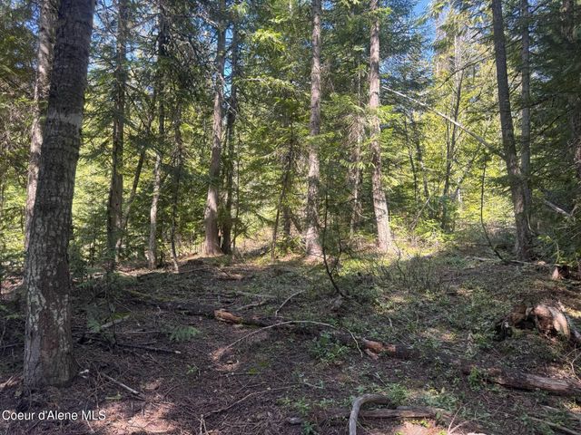 NNA Upper Manley CReek Rd East Lot, Laclede, ID 83841