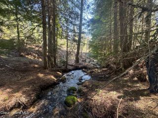 NNA Upper Manley CReek Rd East Lot, Laclede, ID 83841