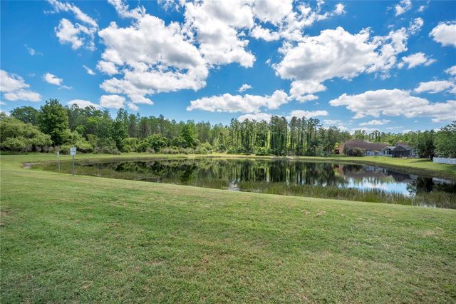 1143 WILLOW BRANCH DRIVE, Orlando, FL 32828