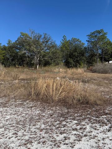 Lot 21 Grassy Pond Road, Chipley, FL 32428