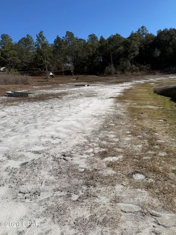 Lot 21 Grassy Pond Road, Chipley, FL 32428